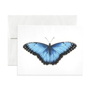 Blue Morpho Card