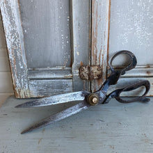 Load image into Gallery viewer, Antique Tailor Shears
